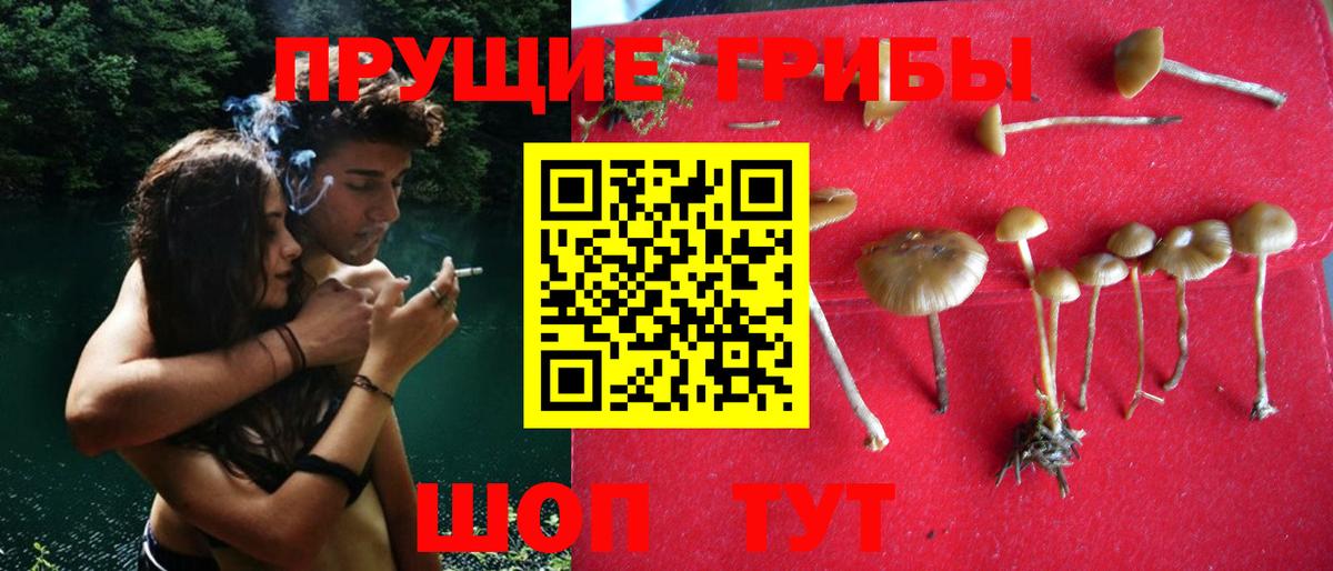 Псилоцибиновые грибы ЛСД  Псилоцибиновые грибы мицелий  Артём  Вход с VPN 